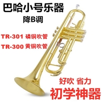 Baja trumpet musical instrument TR-300 TR-301 B- flat children student adult beginner band professional performance
