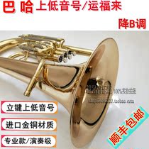 Baja on the Eusophonic instrument the wind the lucky the B- flat the triple key professional the wind music professional level