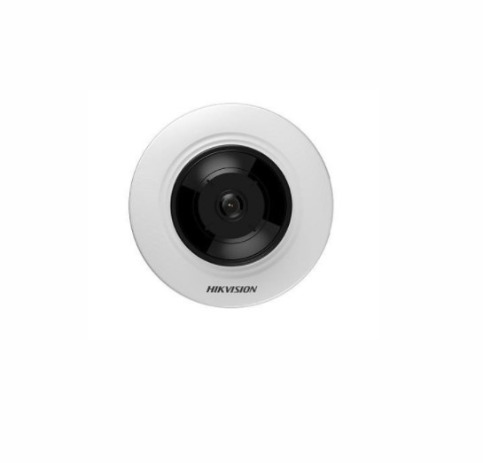 Hikvision Fish Eye Camera DS-2CD2935FWD 2CD2955FWD-IS 300 5 million camera