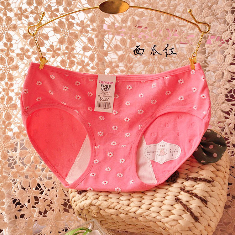 Slip en coton - Ref 639222 Image 28