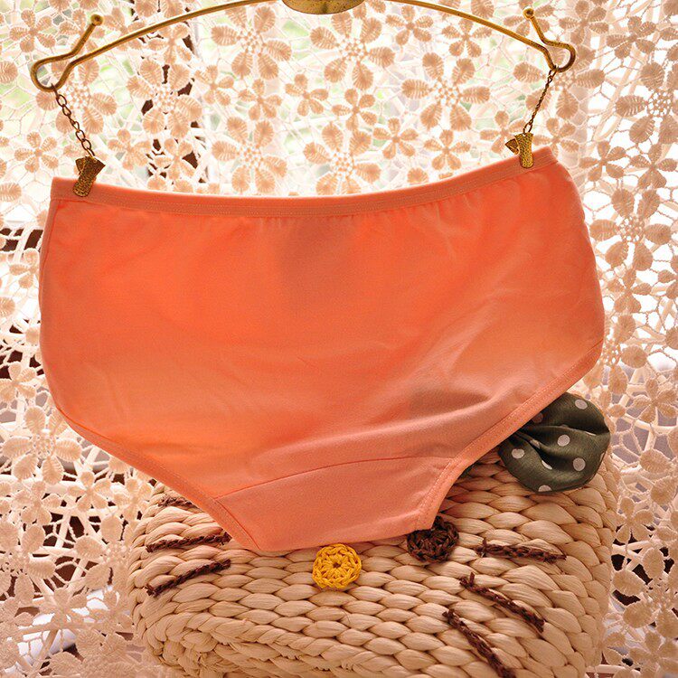 Slip en coton - Ref 639223 Image 6