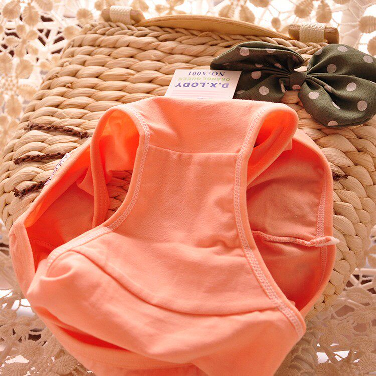 Slip en coton - Ref 639223 Image 5