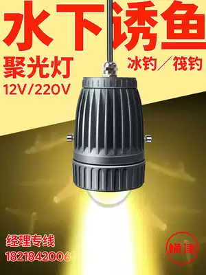 12V 220V underwater fish lure lamp 113 fishing lamp night fishing light fishing lamp fishing lamp fishing lamp fishing lamp hustling yellow light