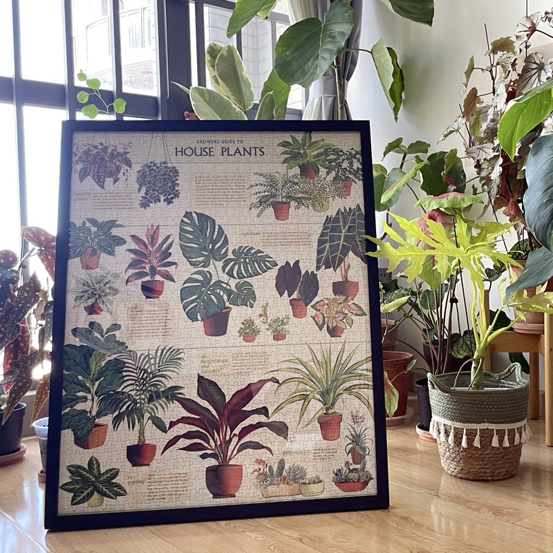 American Cavallini Adult Stress-Relief High-Difficulty Plant Puzzle Green Plant 1000-Piece Adult Version with Frame American Cavallini Adult Stress-Relief High-Difficulty Plant Puzzle Green Plant 1000-Piece Adult Version with Frame