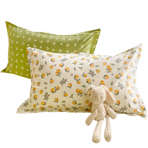 Internet celebrity pure cotton pillowcases a pair of 48*74 cotton pillowcases single small fresh dormitory pillow core sleeves for women 2