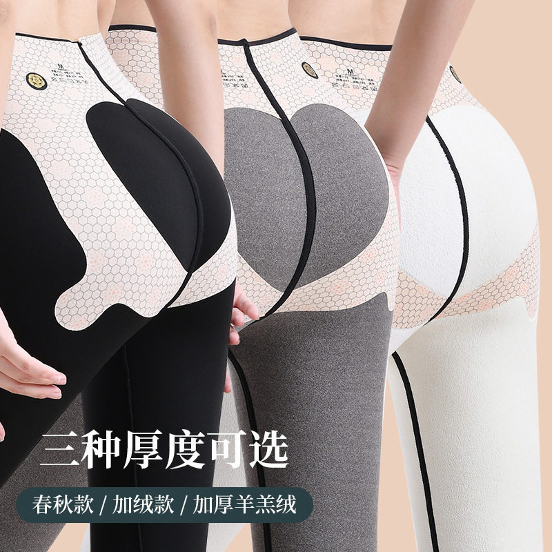 Shark pants seamless