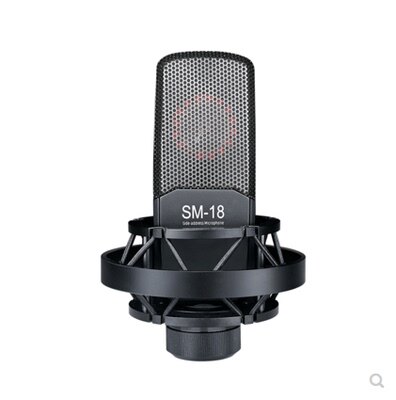 Takstar wins SM-18 microphone sound card suit humbling sound live device full set of mobile phone computer recording