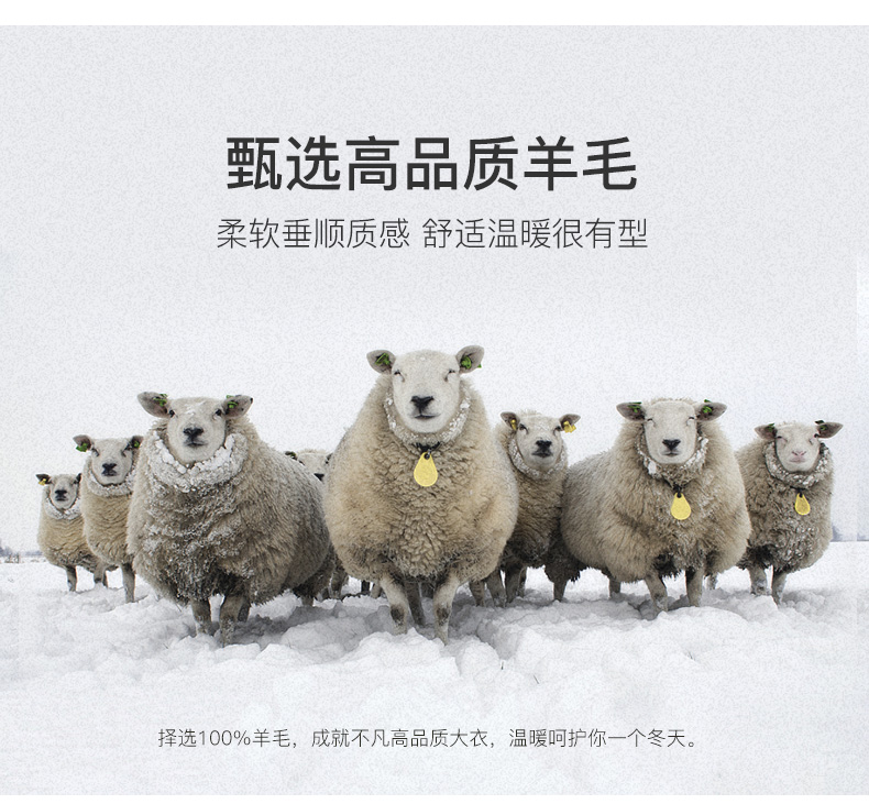 G1180095---优化_03.jpg