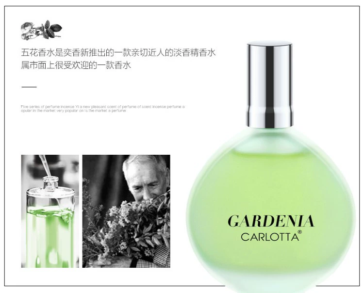 Hoa nhài tự nhiên có mùi thơm hoa nhài osmanthus hoa hồng hoa oải hương Gardenia sinh viên nước hoa lady hương thơm lâu dài
