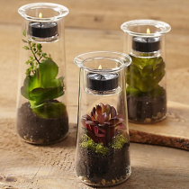 Micro Landscape Eurostyle Creative Fashion Transparent Glass Landscape Candleholder Fashion House Ornaments Candlelight Dinner