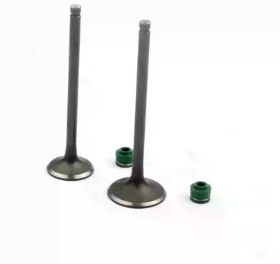 CB125 Wuyang WY125 JH125 valve WY125-A valve MCR125 valve intake and exhaust valve