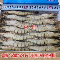 6-8 Grass shrimp 1 box * 6 boxes * 24 black tiger shrimp frozen prawns green prawns Jiangsu Shanghai Anhui full of free mail