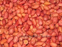 Parrot Chipmunk Huangshan Squirrel Red Peanut Staple Food Snacks 100g