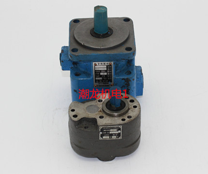 YB1-2 5YB1-4 YB1-6 YB1-10 CBB2 5-10 vane pump hydraulic oil pump pressure 6 3MPa