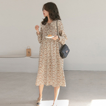 Pregnant Woman Spring Dress Dress dress Long dress for pregnant woman dress Korean version Fashion turn over ocean qi Less sweet and pregnant woman Broken Flowers long dress
