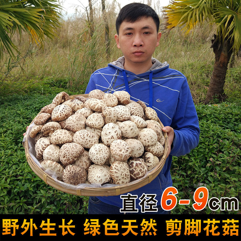 Large flower mushroom dry goods 500g Fujian specialty grade Gutian edible fungus wild soup material farm cut white mushroom