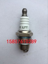 Hangkai 2 Chong 3 5 3 6 Outboard Motor Engine Propeller Spark Plug Original Accessories