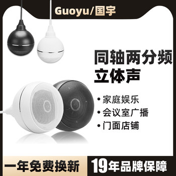 Guoyu G-103 Ceiling Audio Ceiling Speaker Background Music Constant Voltage Amplifier Coaxial Hanging Ball Speaker Hanging Type