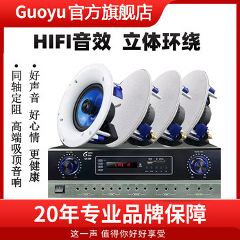 Guoyu Ceiling Speakers Coaxial Fixed Resistor Ceiling-Mounted Speakers Home Subwoofer Surround Sound