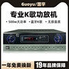 Guoyu Ok-500W Fixed Resistance High-Power Functional Machine for Stage Ktv Speakers Hifi Audio Karaoke Fiber Optic Coaxial