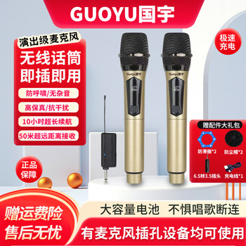 Rechargeable Universal Wireless Microphone One-To-Two Home Ktv Singing Outdoor Stage Performance Universal Handheld Microphone