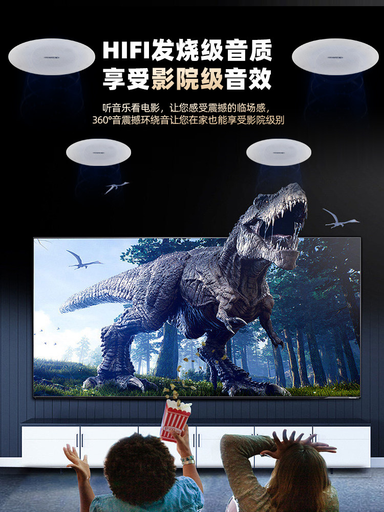 Guoyu G-98 Coaxial Fixed-Resistance Ceiling Speaker Ceiling-Mounted Embedded Audio Hifi Subwoofer Speaker