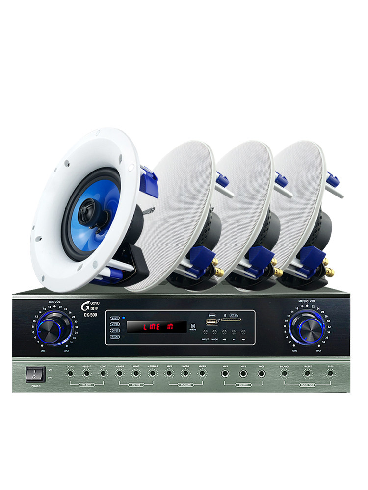 Guoyu Ceiling Speakers Coaxial Fixed Resistor Ceiling-Mounted Speakers Home Subwoofer Surround Sound