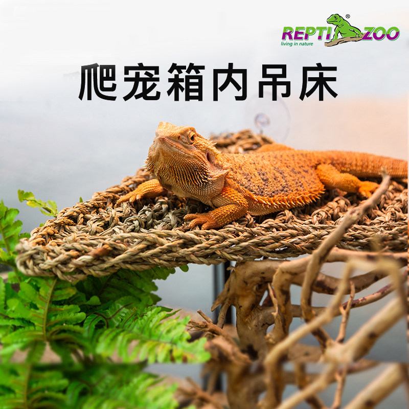 reptizoo reptile hammock dodge house mane lions climbing vines lizard BAO WELN The goalkeeper box natural view of the house