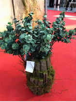 Simulation of eucalyptus leaf simulation flower fake flower green plant decoration living room decoration plant home flower table ornaments