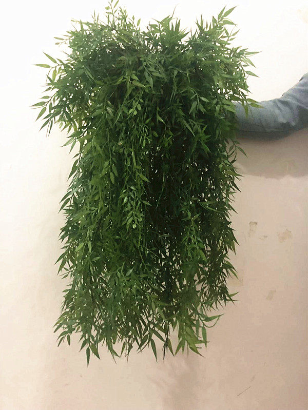 Simulated willow bamboo leaf leaf bamboo fake willow bar decorated big leaf willow branches fake blue bar