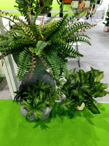 High simulation Fern Persian grass fern flower arrangement decoration mountain grass balcony indoor green background wall