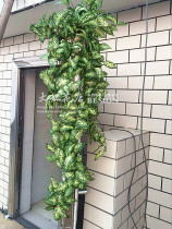 High-grade simulation star point Wood Vine ivy vine ivy green vine plant wall hanging simulation vine leaf vine leaf Vine fake flower