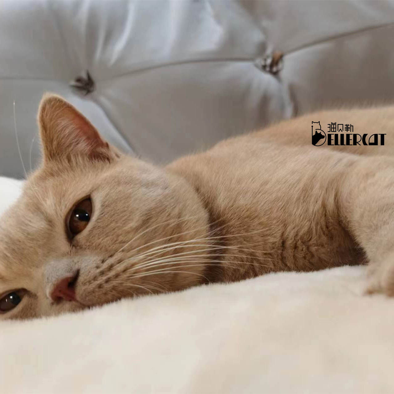 Postage difference shipping cost difference RMBone shooting a difference how many shots number is optional-Taobao