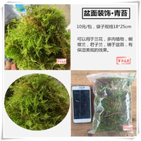 Wild Shop Surface Увлажняющая красота · Мосс