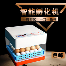 incubator automatic home ji ya e incubator 24 small incubator intelligent temperature control