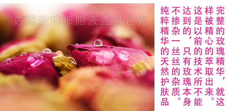 Nước hoa hồng cao cấp tinh khiết chiết xuất nhiệt độ thấp Chất lỏng tế bào corolla Chứa tinh dầu làm sáng màu da và kiểm soát dầu dưỡng ẩm 500ml - Tinh dầu điều trị tinh dầu treo xe