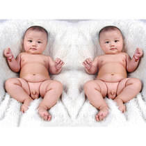 Baby poster photo pictorial Cute beautiful pregnant woman prenatal education big picture wall sticker art baby Meng Meng doll picture