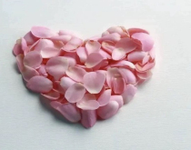 Qitongyan microcrystalline fresh-keeping smooth freeze-dried honey powder filling powder 2 boxes