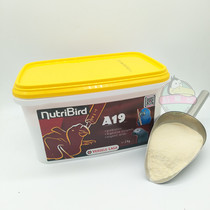 Belgian Versail baby bird A19a19 parrot milk powder 500g self-sealing bottle