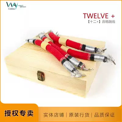 Vica TWELVE jumpers jumper twelve single crystal silver speaker cable speaker splitter WAYCables