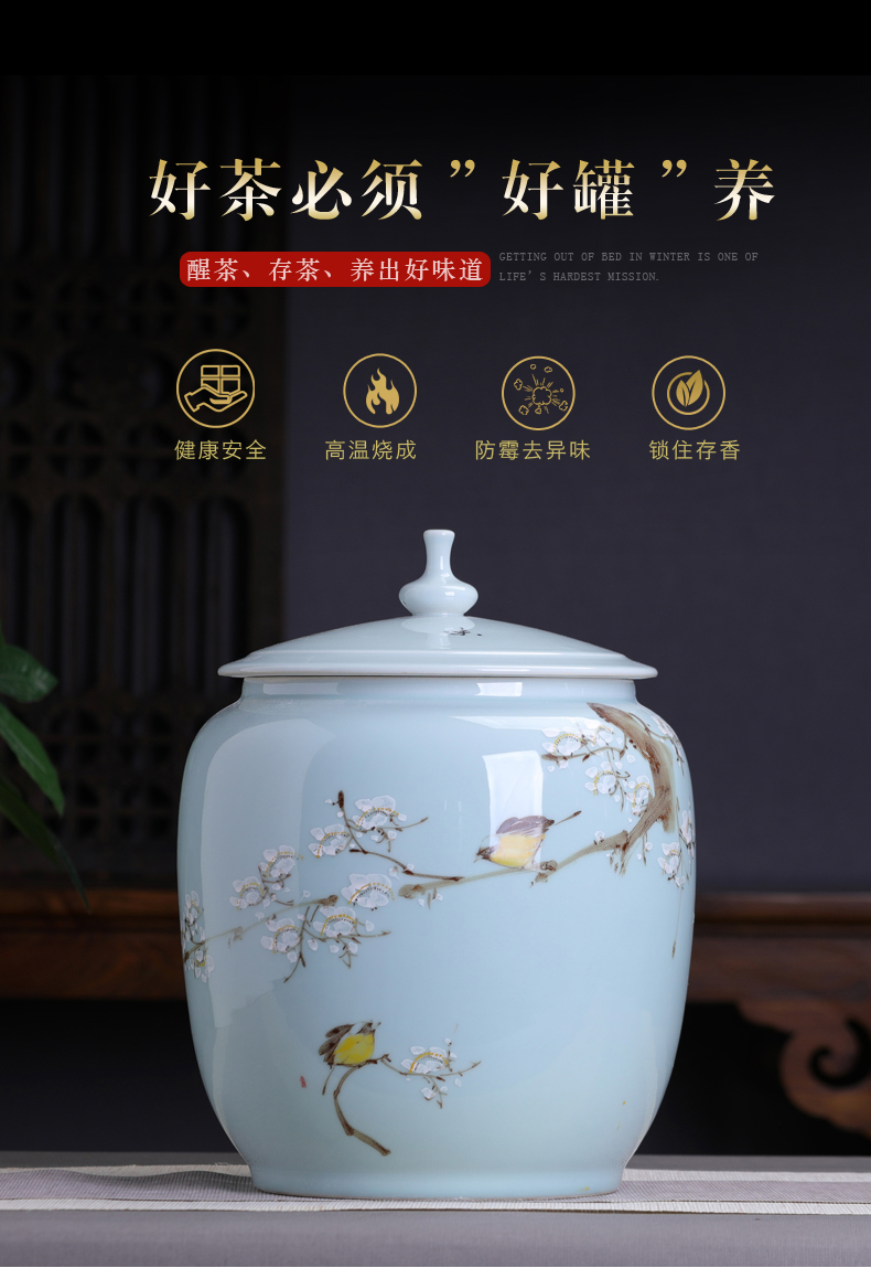 Hand - made ceramic name plum furnishing articles home decoration storage tank with cover Chinese tea pot large capacity home office