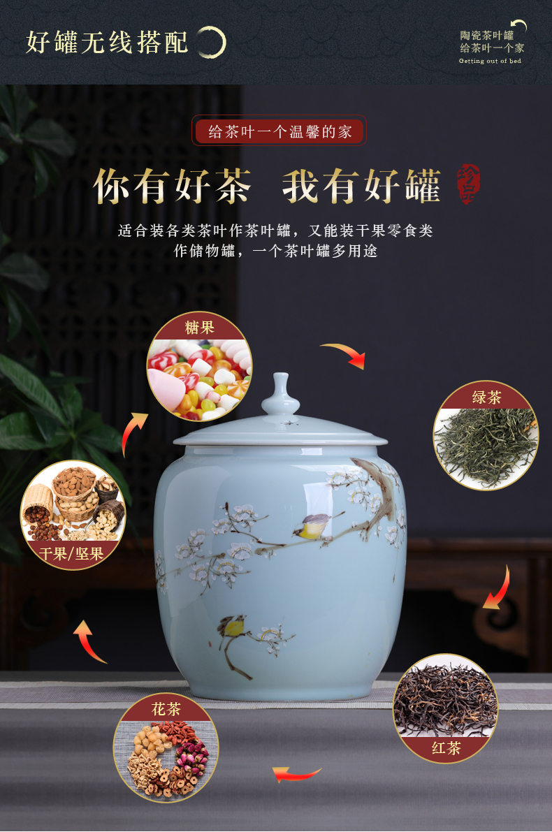 Hand - made ceramic name plum furnishing articles home decoration storage tank with cover Chinese tea pot large capacity home office