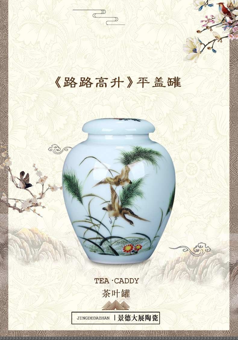 Jingdezhen portable tea pot ceramic seal save sect pot pu - erh tea medium size candy store content box