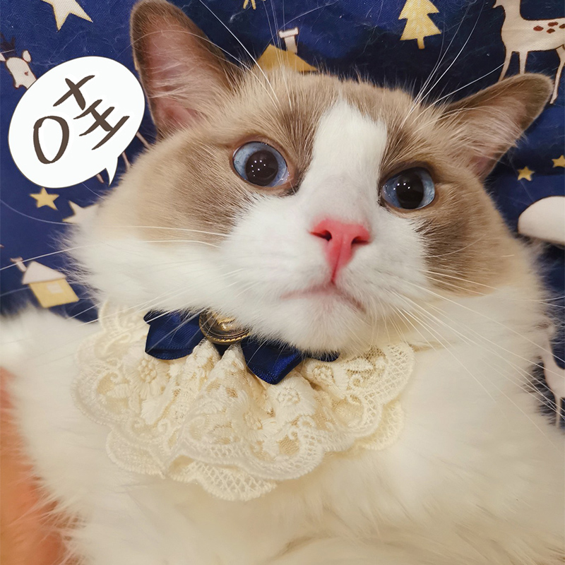 Knock cute cat collar cat bow tie jewelry bell bow tie lace puppet British and American short collar