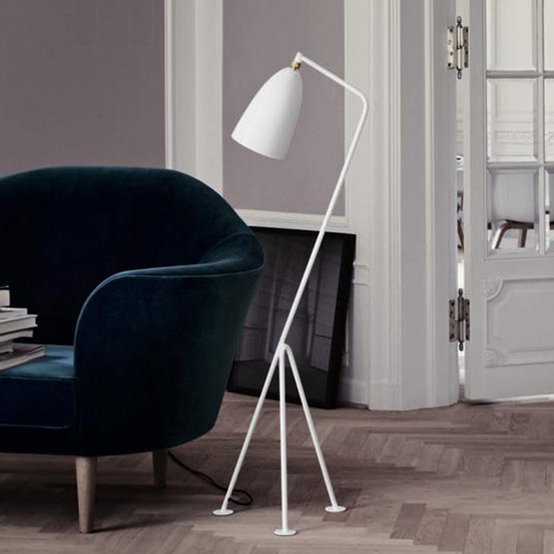 �̵�ɭ��ʽ��帴�Ź�ҵ����ص�