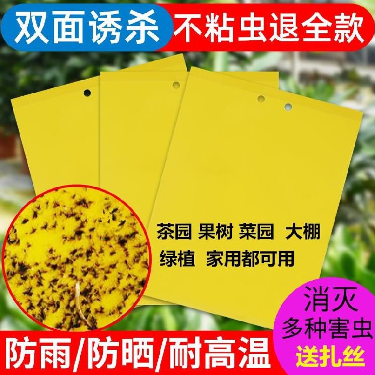 Yellow Sticky plate double-sided sticker Blue plate Anti-mosquito sticker Yellow plate Catch Fly Stained Plate Small Mosquito Makeup Room Summer
