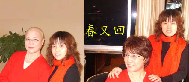 Extension mèches - Ref 223980 Image 14