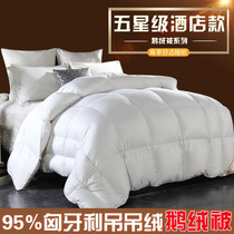 Export Switzerland five-star hotel thickened duvet 95 Hungarian white goose down winter quilt spring and autumn child quilt