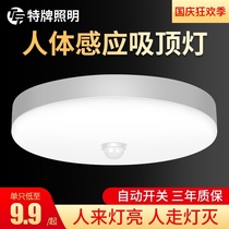 Human body sensor light intelligent automatic aisle corridor lamp stairway light night entrance sound control light radar ceiling light