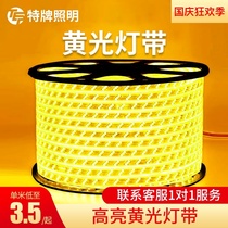 LED light strip golden light 5730 double row patch yellow light bar Hotel KTV outdoor waterproof golden yellow light